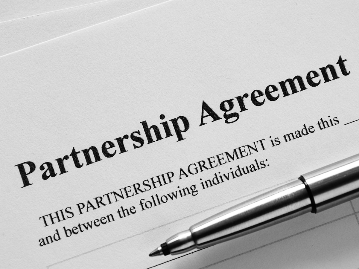Why Your Domain Investing Business Needs a Partnership Agreement and the Right Business Structure