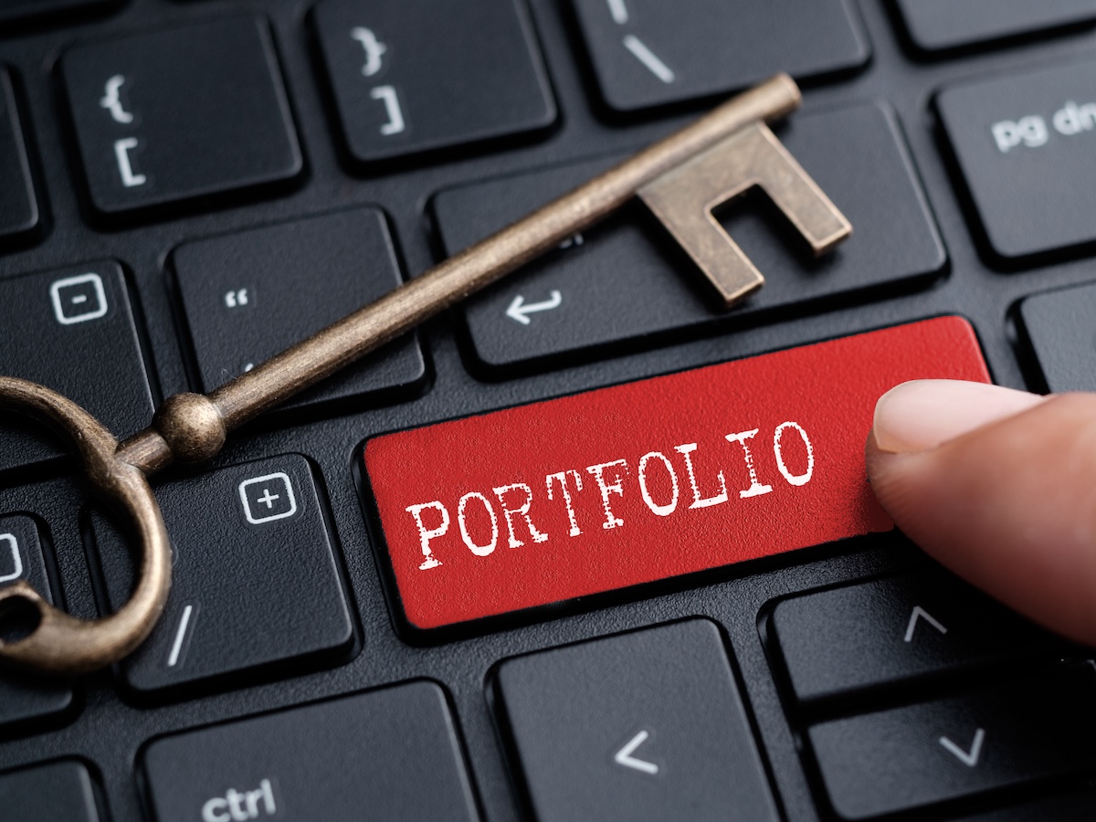 The Art of Digital Asset Management to Maximize Domain Portfolio