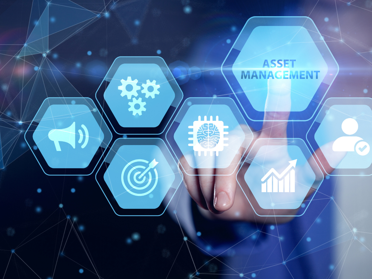 Organizing Your Domains: How to Implement an Effective Digital Asset Management System