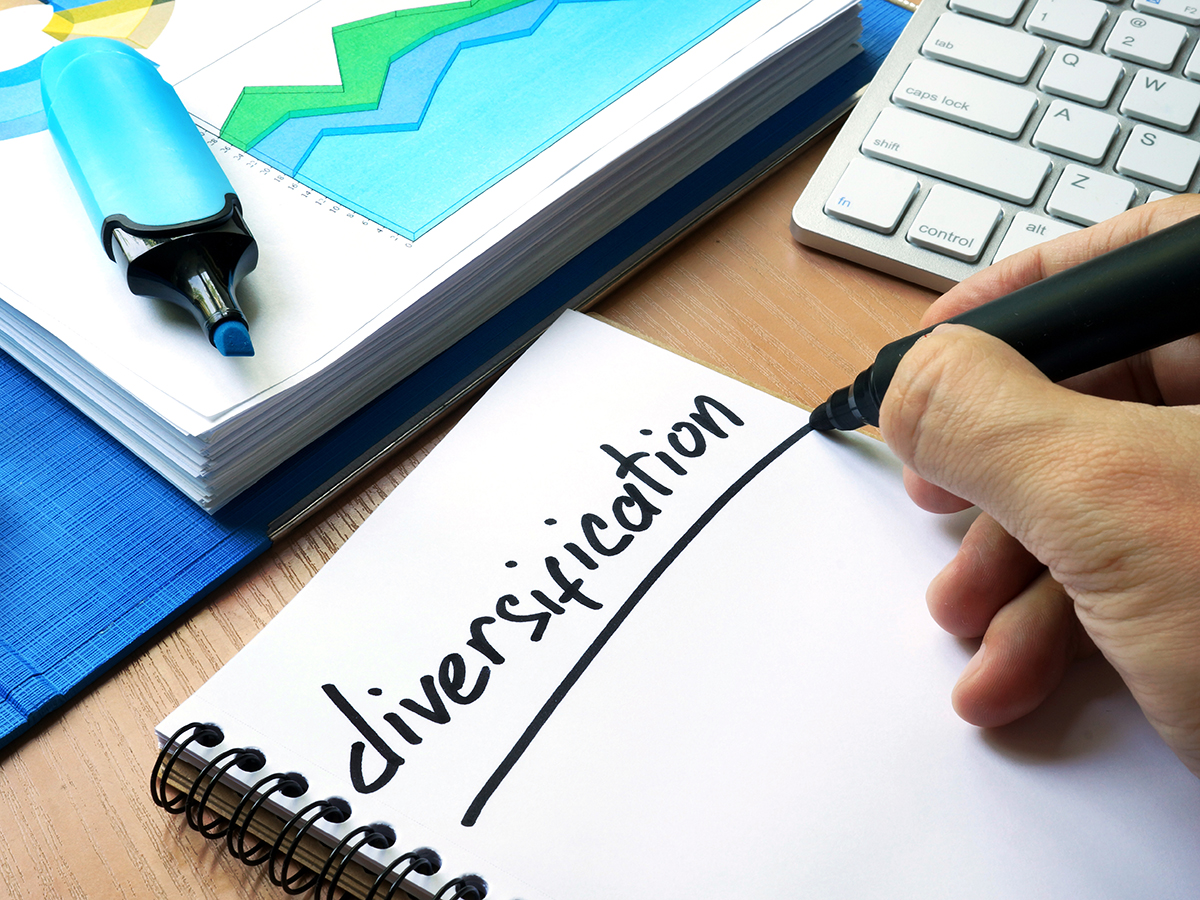 The Power of Diversifying Your Domain Portfolio: How to Expand Your Sales Opportunities