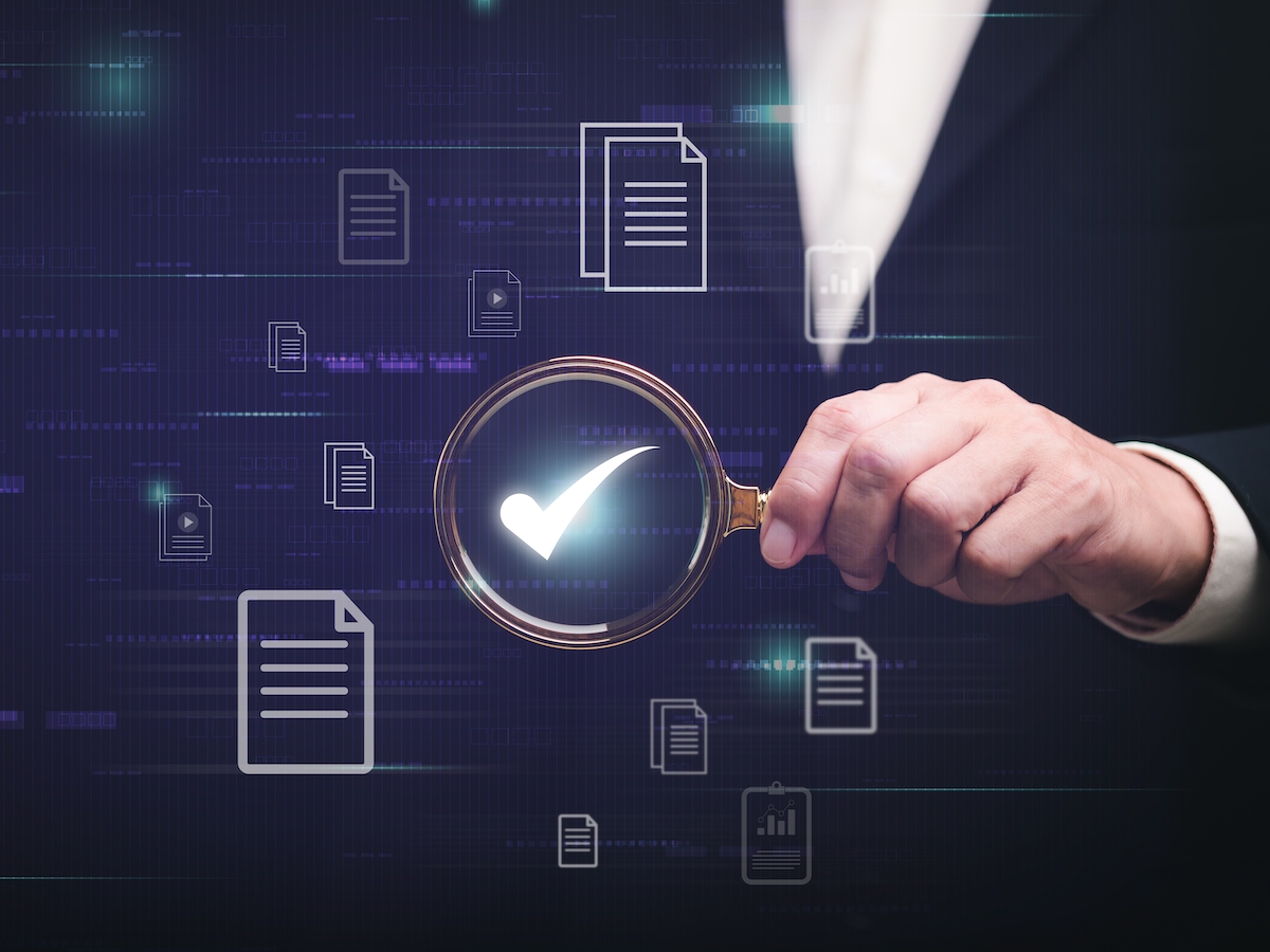 The Hybrid Approach: Combining Business Structures for Your Domain Portfolio