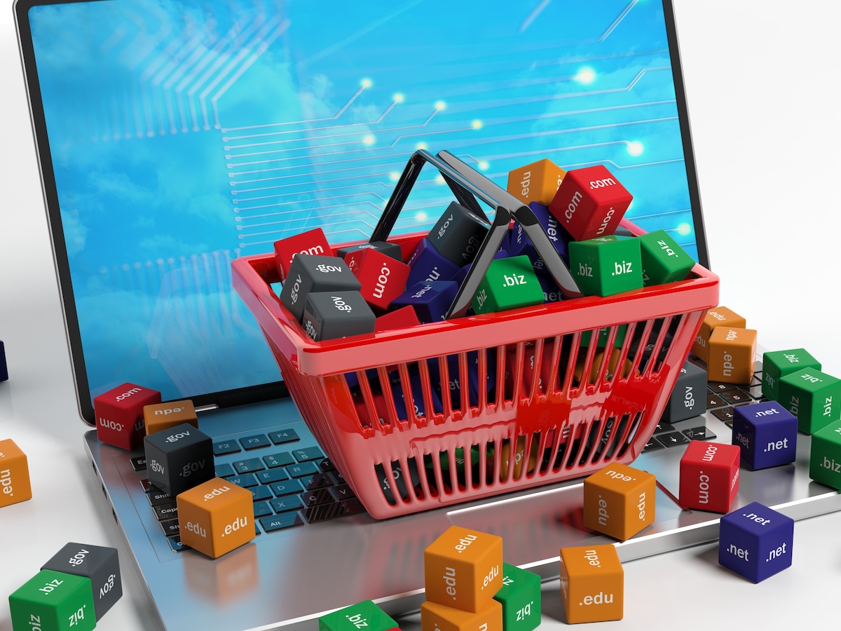 Domain Portfolio Management: From Acquisition to Sale