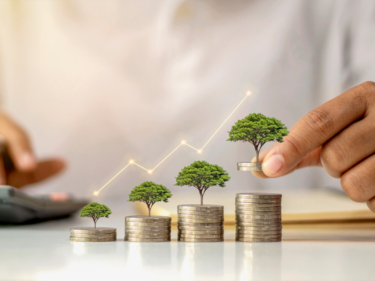 Navigating International Tax Laws as a Domain Investor: The Role of Business Structures