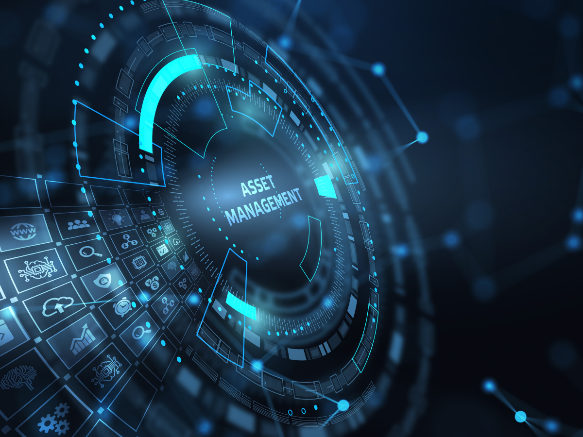 The Future of Digital Asset Management for Domain Investors: Trends and Innovations